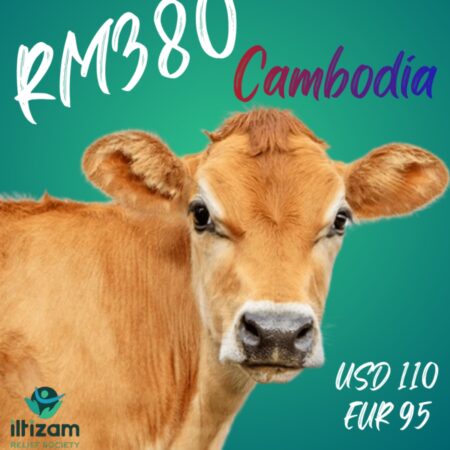 Cambodia- Cow/per share