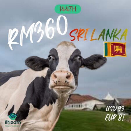 Sri Lanka- Cow